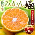 【太陽をたっぷり浴びた】極早生みかん【極】5kg(小玉)【C49-34】