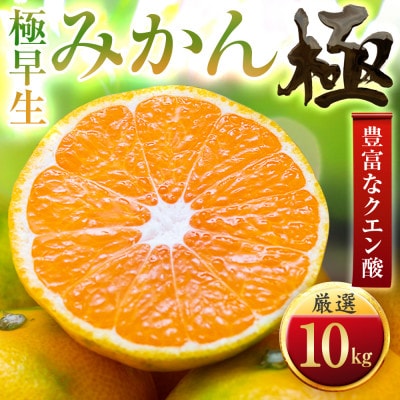 【太陽をたっぷり浴びた】極早生みかん【極】10kg(小玉)【F49-36】