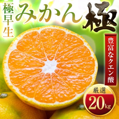 【太陽をたっぷり浴びた】極早生みかん【極】20kg【H49-37】