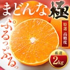 「夕やけブランド」ぷるぷる食感【まどんな】2kg　※紅まどんなと同品種　【D49-39】