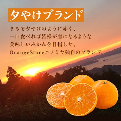 「夕やけブランド」ぷるぷる食感【まどんな】10kg　※紅まどんな と同品種　【H49-40】