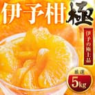 【太陽をたっぷり浴びた】伊予柑【極】5kg【C49-43】