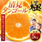 【太陽をたっぷり浴びた】清見タンゴール【極】5kg【C49-52】