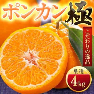 【太陽をたっぷり浴びた】ポンカン【極】4kg【C49-54】