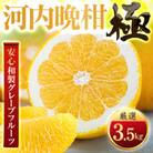 【太陽をたっぷり浴びた】河内晩柑【極】3.5kg【C49-60】
