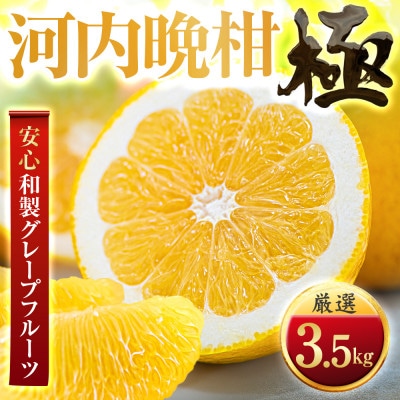 【太陽をたっぷり浴びた】河内晩柑【極】3.5kg【C49-60】