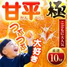 【甘みぎっっしり!】シャキシャキ甘い♪♪【甘平】10kg【H49-65】