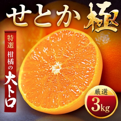 「夕やけブランド」柑橘の大トロ!【せとか】3kg【C49-67】