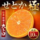 「夕やけブランド」柑橘の大トロ!【せとか】10kg【H49-68】