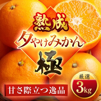 【完熟&熟成】愛媛で育った夕やけみかん【極】3kg　※年明け発送【C49-77】