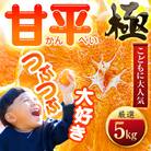 【甘みぎっっしり!】シャキシャキ甘い♪♪【甘平】5kg【H49-78】