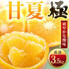 【太陽をたっぷり浴びた】甘夏【極】3.5kg【C49-84】