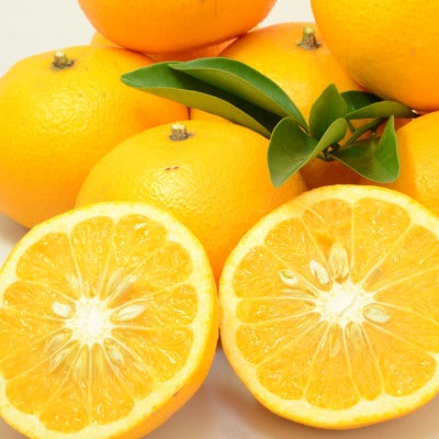 【太陽をたっぷり浴びた】甘夏【極】3.5kg【C49-84】