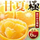 【太陽をたっぷり浴びた】甘夏【極】6kg【C49-85】