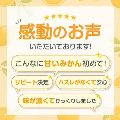 【太陽をたっぷり浴びた】甘夏【極】6kg【C49-85】