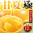 【太陽をたっぷり浴びた】甘夏【極】12kg【F49-86】