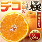 【太陽をたっぷり浴びた】デコ(不知火)【極】2kg【A49-95】