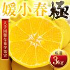 【太陽をたっぷり浴びた】媛小春(ひめこはる)【極】3kg【E49-99】