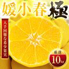 【太陽をたっぷり浴びた】媛小春(ひめこはる)【極】10kg【H49-101】