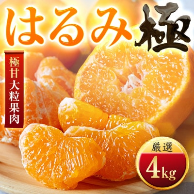 【果汁あふれる】とろ甘食感 はるみ　4kg　愛媛県産【49-121】