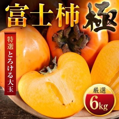 【年内発送!】肉厚濃蜜 富士柿　6kg　愛媛県産【E49-105】