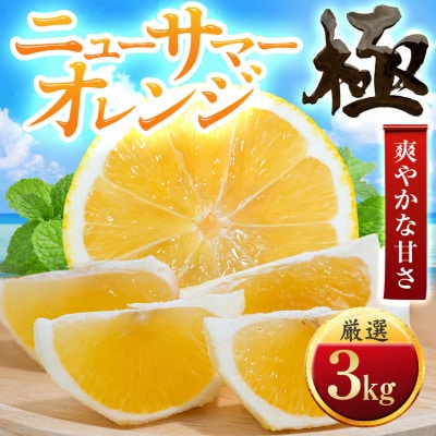 【朝に食べたい】ニューサマーオレンジ【極】3kg　愛媛県産【49-125】