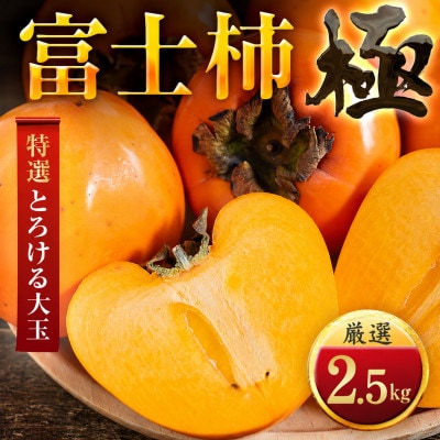 肉厚濃蜜 富士柿　2.5kg　愛媛県産【49-124】