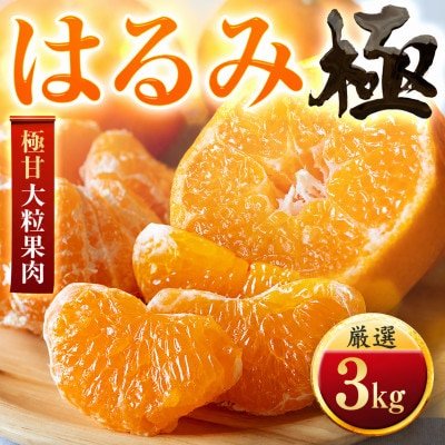 【果汁あふれる】とろ甘食感 はるみ　3kg　愛媛県産【49-122】