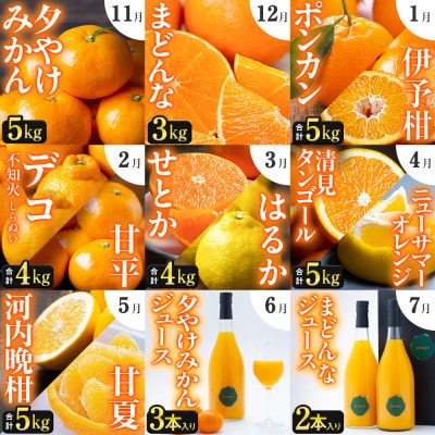 【発送月固定定期便】「こたつの上の冬物語」驚異の全14種類!!【H49-75】全9回