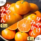 【発送月固定定期便】「こたつの上の冬物語」夕やけみかん(4kg)【F49-71】全2回