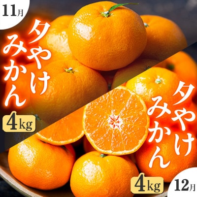 【発送月固定定期便】「こたつの上の冬物語」夕やけみかん(4kg)【E49-71】全2回