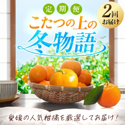 【発送月固定定期便】「こたつの上の冬物語」夕やけみかん(4kg)【E49-71】全2回