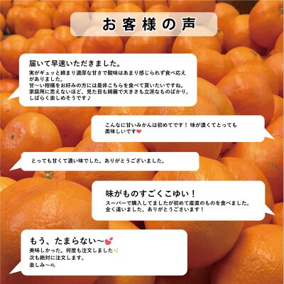 【発送月固定定期便】「こたつの上の冬物語」夕やけみかん(4kg)【E49-71】全2回
