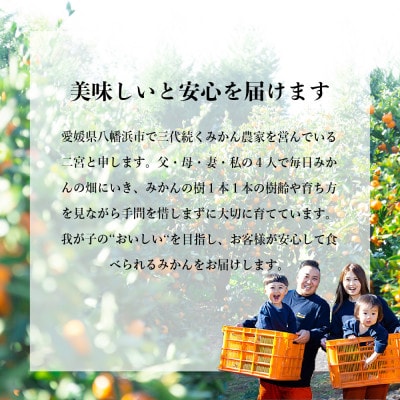 【発送月固定定期便】「こたつの上の冬物語」夕やけみかん(4kg)【E49-71】全2回