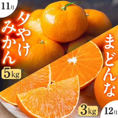 【発送月固定定期便】「こたつの上の冬物語」夕やけみかん+まどんな!【F49-72】全2回
