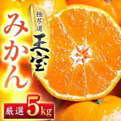 【愛媛名産】玉宝みかん(5kg)【C64-1】