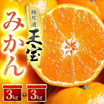 【愛媛名産】玉宝みかん【雫 ・・ 小玉】(3kg×2箱)【C64-4】