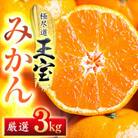 【愛媛名産】玉宝みかん【雫・・小玉】 3kg【C64-29】