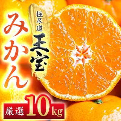 【愛媛名産】玉宝みかん 10kg【G64-27】