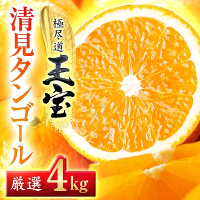 【愛媛名産】玉宝清見タンゴール　4kg【C64-34】