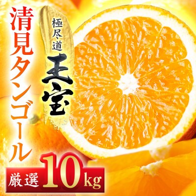 【愛媛名産】玉宝清見タンゴール　10kg【F64-36】