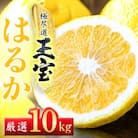 【愛媛名産】玉宝はるか　10kg【F64-57】