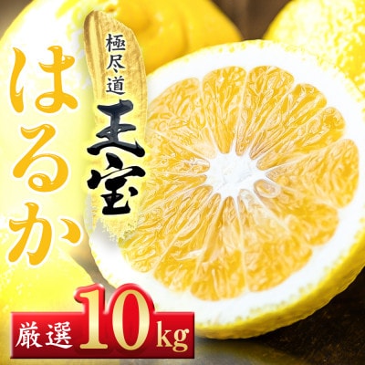 【愛媛名産】玉宝はるか　10kg【F64-57】