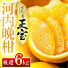 【愛媛名産】玉宝河内晩柑　6kg【C64-53】