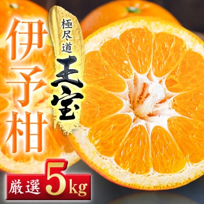 【愛媛名産】玉宝伊予柑　5kg【C64-59】