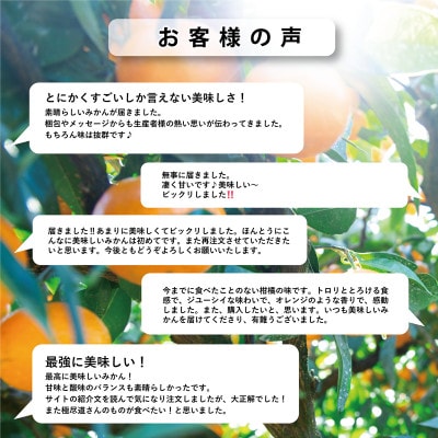 「玉宝ブランド」【せとか】10kg【H64-48】