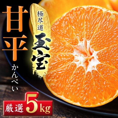 「玉宝ブランド」【甘平】5kg【H64-61】