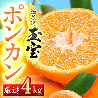 【愛媛名産】玉宝ポンカン　4kg【C64-65】