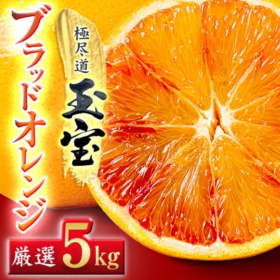 【愛媛名産】玉宝ブラッドオレンジ(タロッコ)　5kg【E64-68】