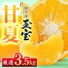 【愛媛名産】玉宝甘夏　3.5kg【C64-73】